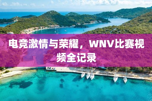 電競激情與榮耀，WNV比賽視頻全記錄