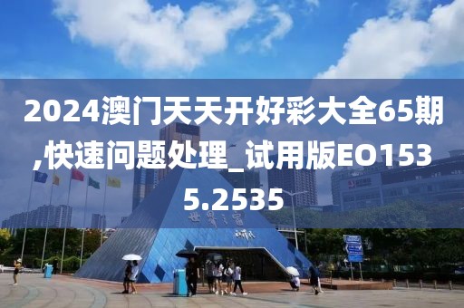 2024澳門天天開好彩大全65期,快速問題處理_試用版EO1535.2535