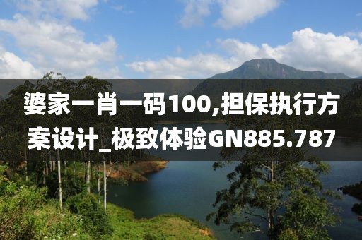 婆家一肖一碼100,擔(dān)保執(zhí)行方案設(shè)計_極致體驗GN885.787