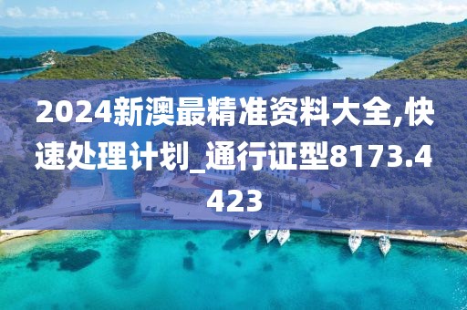 2024新澳最精準(zhǔn)資料大全,快速處理計劃_通行證型8173.4423