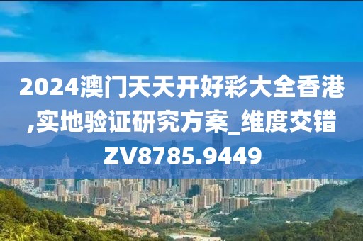 2024澳門天天開好彩大全香港,實(shí)地驗(yàn)證研究方案_維度交錯(cuò)ZV8785.9449