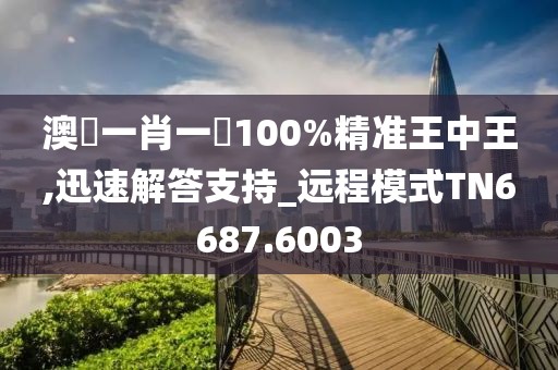 澳門一肖一碼100%精準王中王,迅速解答支持_遠程模式TN6687.6003