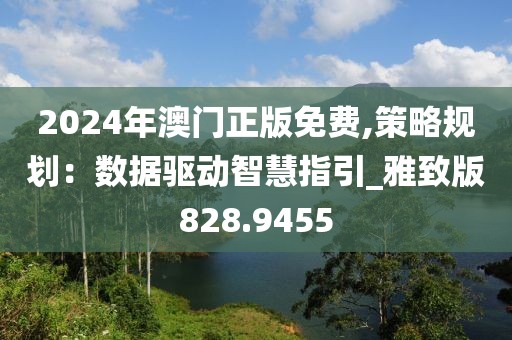 2024年澳門正版免費,策略規(guī)劃：數(shù)據(jù)驅(qū)動智慧指引_雅致版828.9455