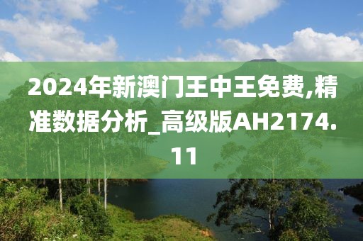 2024年新澳門王中王免費(fèi),精準(zhǔn)數(shù)據(jù)分析_高級版AH2174.11