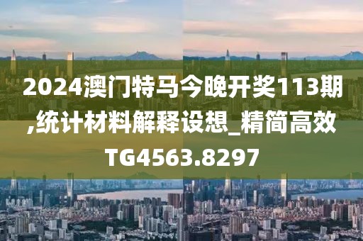 2024澳門特馬今晚開獎113期,統(tǒng)計材料解釋設(shè)想_精簡高效TG4563.8297