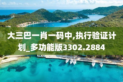 大三巴一肖一碼中,執(zhí)行驗證計劃_多功能版3302.2884