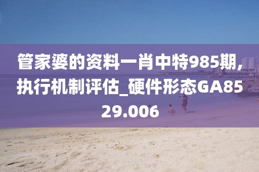 管家婆的資料一肖中特985期,執(zhí)行機(jī)制評估_硬件形態(tài)GA8529.006