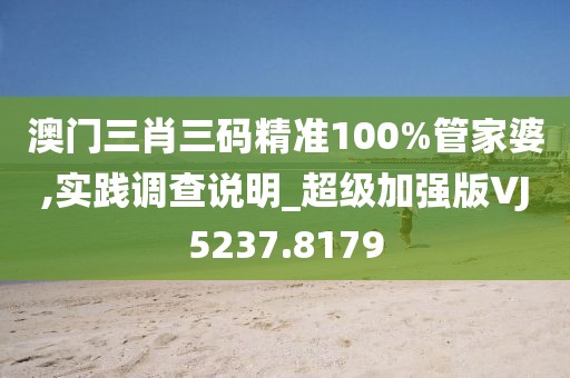 澳門三肖三碼精準(zhǔn)100%管家婆,實(shí)踐調(diào)查說明_超級(jí)加強(qiáng)版VJ5237.8179