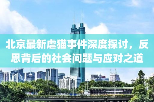 北京最新虐貓事件深度探討，反思背后的社會問題與應對之道