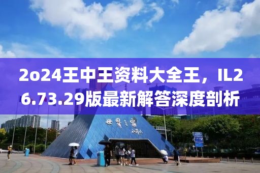 2o24王中王資料大全王，IL26.73.29版最新解答深度剖析