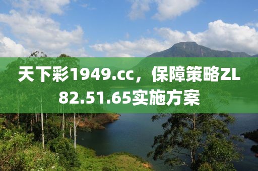 天下彩1949.cc，保障策略ZL82.51.65實(shí)施方案