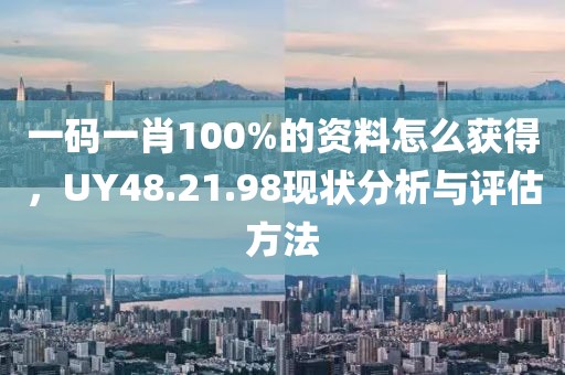 一碼一肖100%的資料怎么獲得，UY48.21.98現(xiàn)狀分析與評估方法