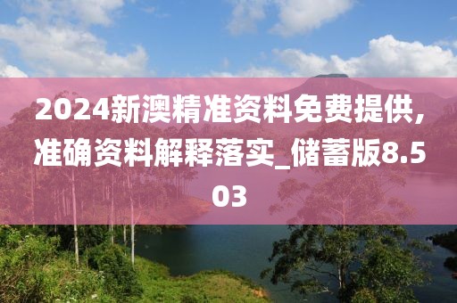 2024新澳精準資料免費提供,準確資料解釋落實_儲蓄版8.503