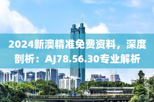 2024新澳精準(zhǔn)免費(fèi)資料，深度剖析：AJ78.56.30專業(yè)解析