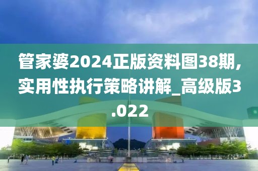 管家婆2024正版資料圖38期,實用性執(zhí)行策略講解_高級版3.022