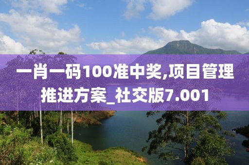 一肖一碼100準(zhǔn)中獎,項目管理推進(jìn)方案_社交版7.001