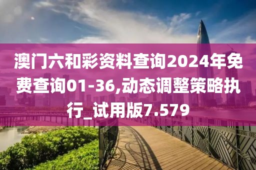 澳門六和彩資料查詢2024年免費查詢01-36,動態(tài)調(diào)整策略執(zhí)行_試用版7.579