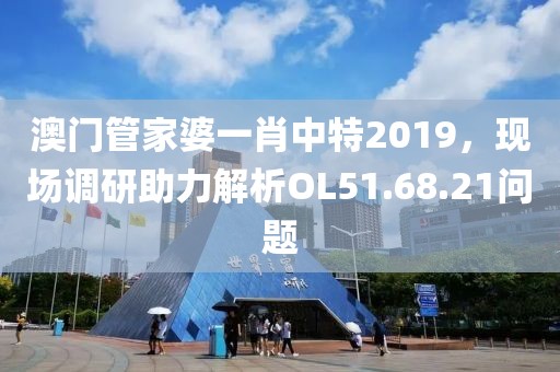 澳門管家婆一肖中特2019，現(xiàn)場調(diào)研助力解析OL51.68.21問題