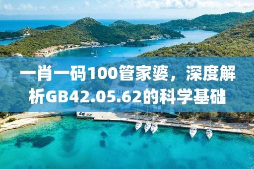 一肖一碼100管家婆，深度解析GB42.05.62的科學(xué)基礎(chǔ)