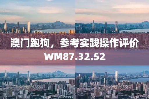 澳門跑狗，參考實踐操作評價WM87.32.52