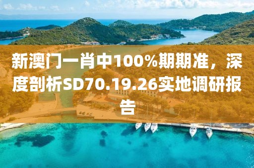 新澳門(mén)一肖中100%期期準(zhǔn)，深度剖析SD70.19.26實(shí)地調(diào)研報(bào)告