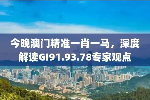 今晚澳門(mén)精準(zhǔn)一肖一馬，深度解讀GI91.93.78專(zhuān)家觀點(diǎn)