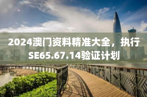 2024澳門資料精準大全，執(zhí)行SE65.67.14驗證計劃