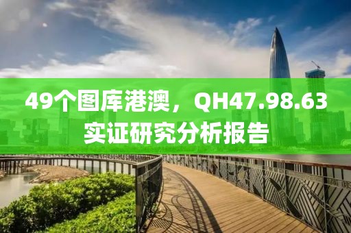 49個圖庫港澳，QH47.98.63實證研究分析報告