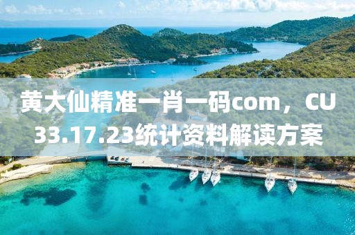 黃大仙精準(zhǔn)一肖一碼com，CU33.17.23統(tǒng)計(jì)資料解讀方案