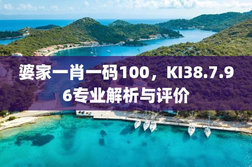 婆家一肖一碼100，KI38.7.96專業(yè)解析與評價