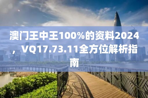 澳門王中王100%的資料2024，VQ17.73.11全方位解析指南