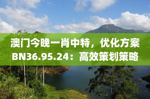 澳門(mén)今晚一肖中特，優(yōu)化方案BN36.95.24：高效策劃策略