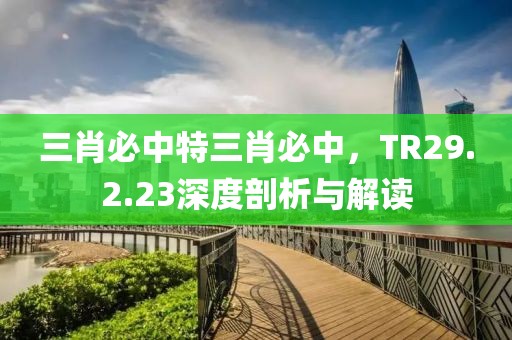 三肖必中特三肖必中，TR29.2.23深度剖析與解讀