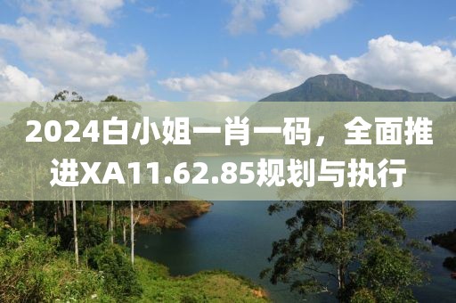 2024白小姐一肖一碼，全面推進(jìn)XA11.62.85規(guī)劃與執(zhí)行