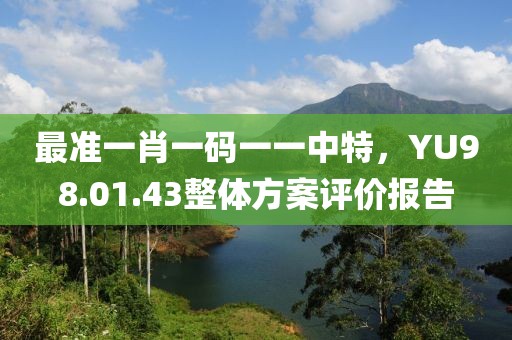 最準(zhǔn)一肖一碼一一中特，YU98.01.43整體方案評(píng)價(jià)報(bào)告