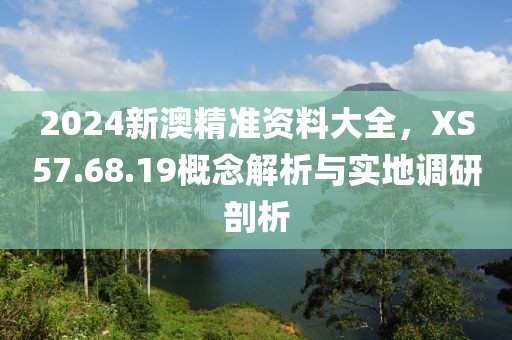 2024新澳精準(zhǔn)資料大全，XS57.68.19概念解析與實(shí)地調(diào)研剖析