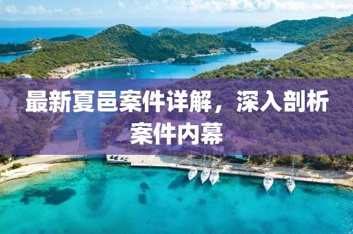 最新夏邑案件詳解，深入剖析案件內(nèi)幕