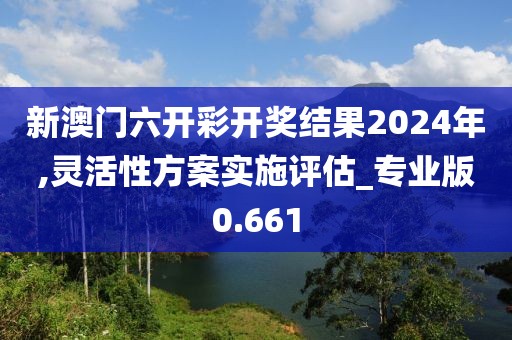 新澳門六開彩開獎(jiǎng)結(jié)果2024年,靈活性方案實(shí)施評估_專業(yè)版0.661