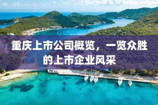 重慶上市公司概覽，一覽眾勝的上市企業(yè)風采