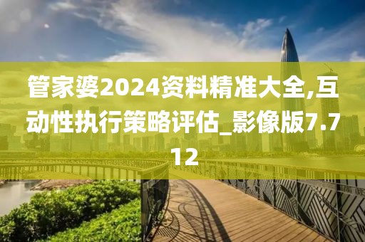 管家婆2024資料精準大全,互動性執(zhí)行策略評估_影像版7.712