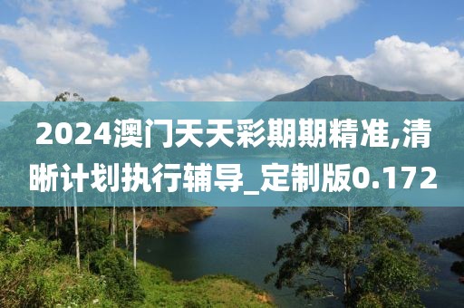 2024澳門天天彩期期精準,清晰計劃執(zhí)行輔導_定制版0.172