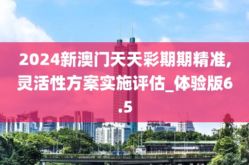 2024新澳門天天彩期期精準(zhǔn),靈活性方案實施評估_體驗版6.5