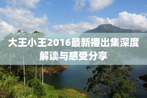 大王小王2016最新播出集深度解讀與感受分享