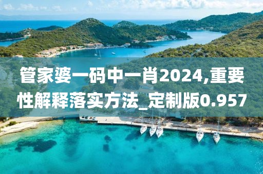 管家婆一碼中一肖2024,重要性解釋落實(shí)方法_定制版0.957