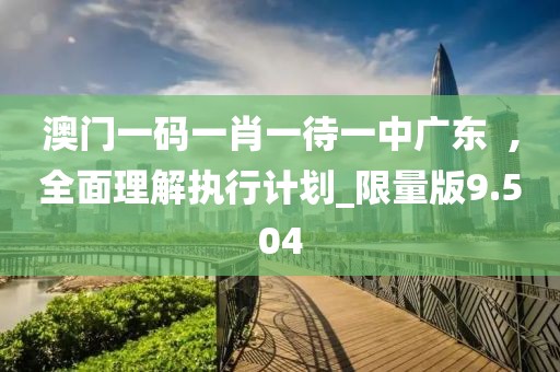 澳門一碼一肖一待一中廣東  ,全面理解執(zhí)行計劃_限量版9.504