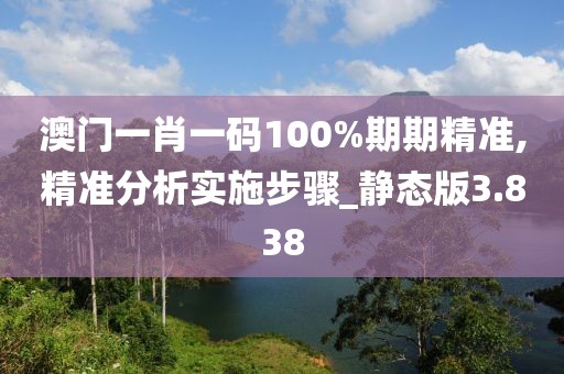 澳門一肖一碼100%期期精準(zhǔn),精準(zhǔn)分析實施步驟_靜態(tài)版3.838