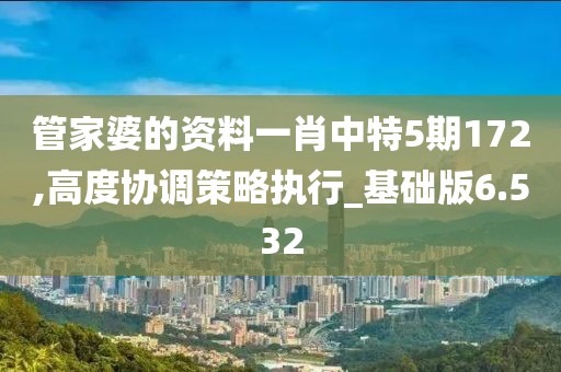 管家婆的資料一肖中特5期172,高度協(xié)調(diào)策略執(zhí)行_基礎(chǔ)版6.532