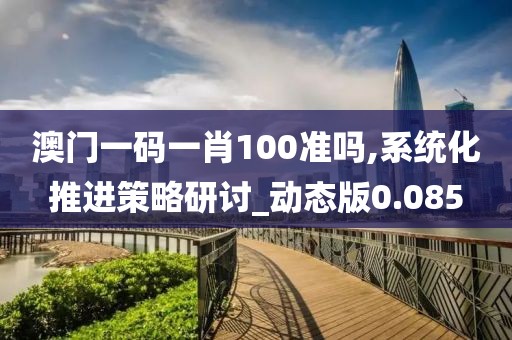 澳門一碼一肖100準嗎,系統(tǒng)化推進策略研討_動態(tài)版0.085