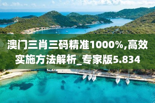 澳門三肖三碼精準(zhǔn)1000%,高效實(shí)施方法解析_專家版5.834