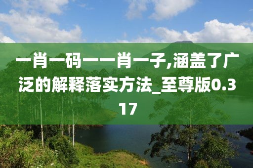 一肖一碼一一肖一子,涵蓋了廣泛的解釋落實方法_至尊版0.317